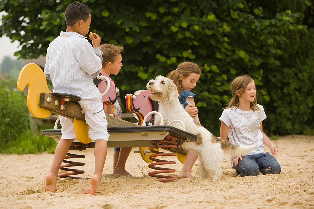 Giardien – so kannst du die kleinen Plagegeister bekämpfen