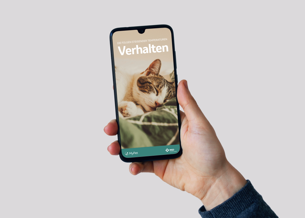 Hände halten ein Telefon