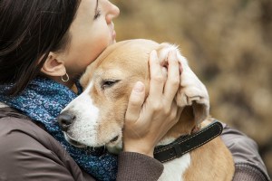 Umarmen eines Hundes mit Parasiten